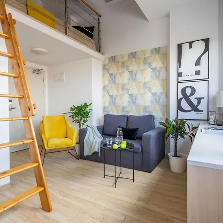 Starter 24 Apartament