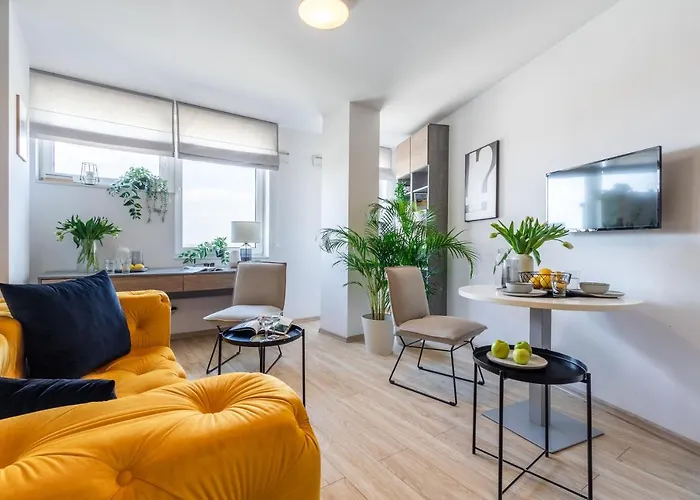 דירה Starter 24 *