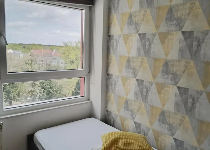 דירה Starter 24 *